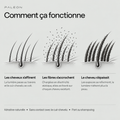 Volumisant capillaire